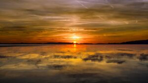 Travelology - Kompletní Průvodce Pro Nezapomenutelnou Dovolenou 2 Nejlepší výstavy v Antarktidě