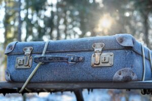 Travelology - Kompletní Průvodce Pro Nezapomenutelnou Dovolenou 2 Co sbalit pejskovi na cestu na šumavu